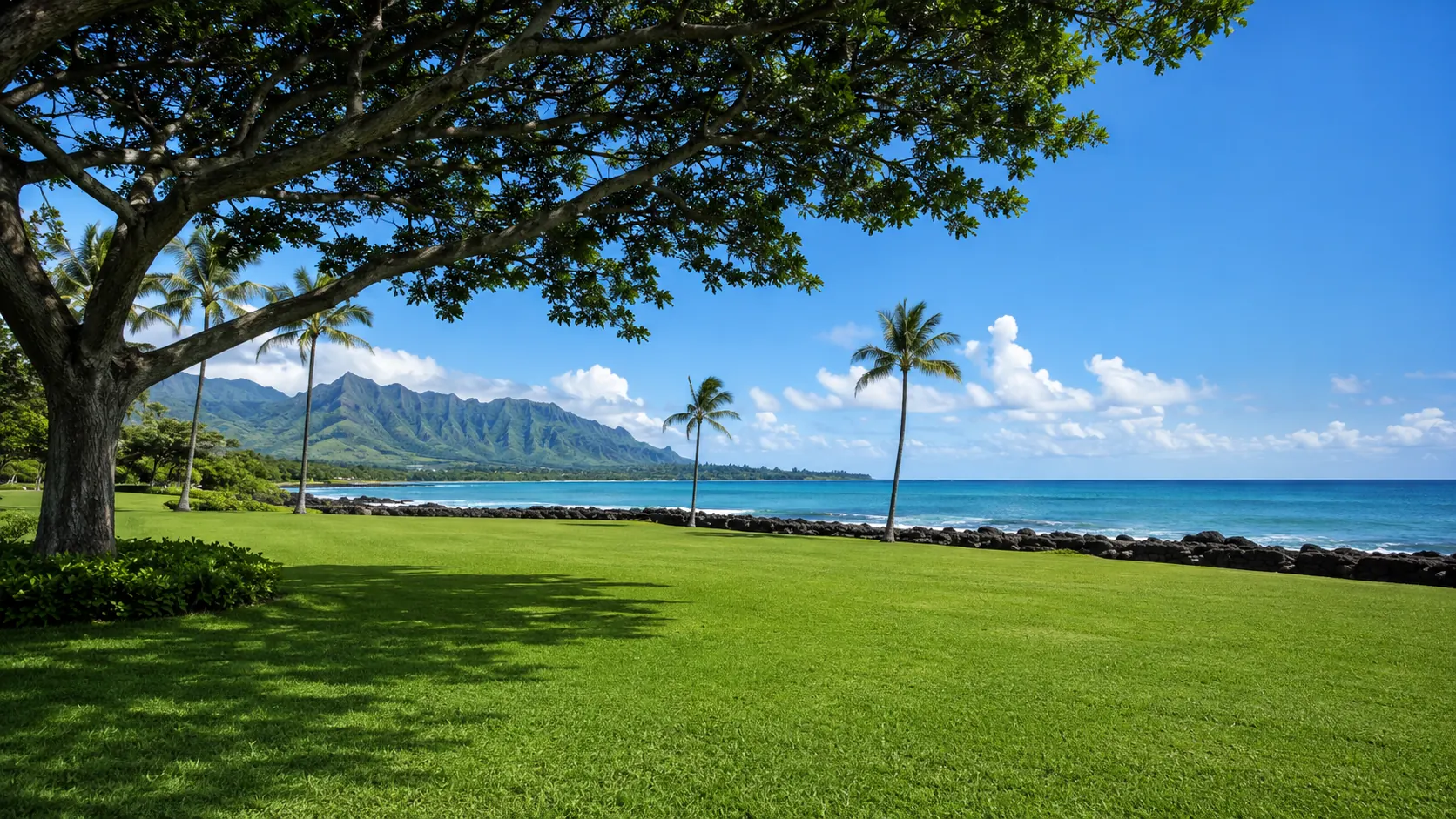 Staged production scene: an empty oceanfront lawn on Oahu's west coast before load-in